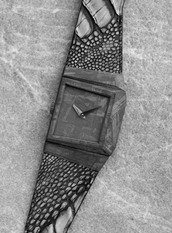 b/1m PROTOTYPE